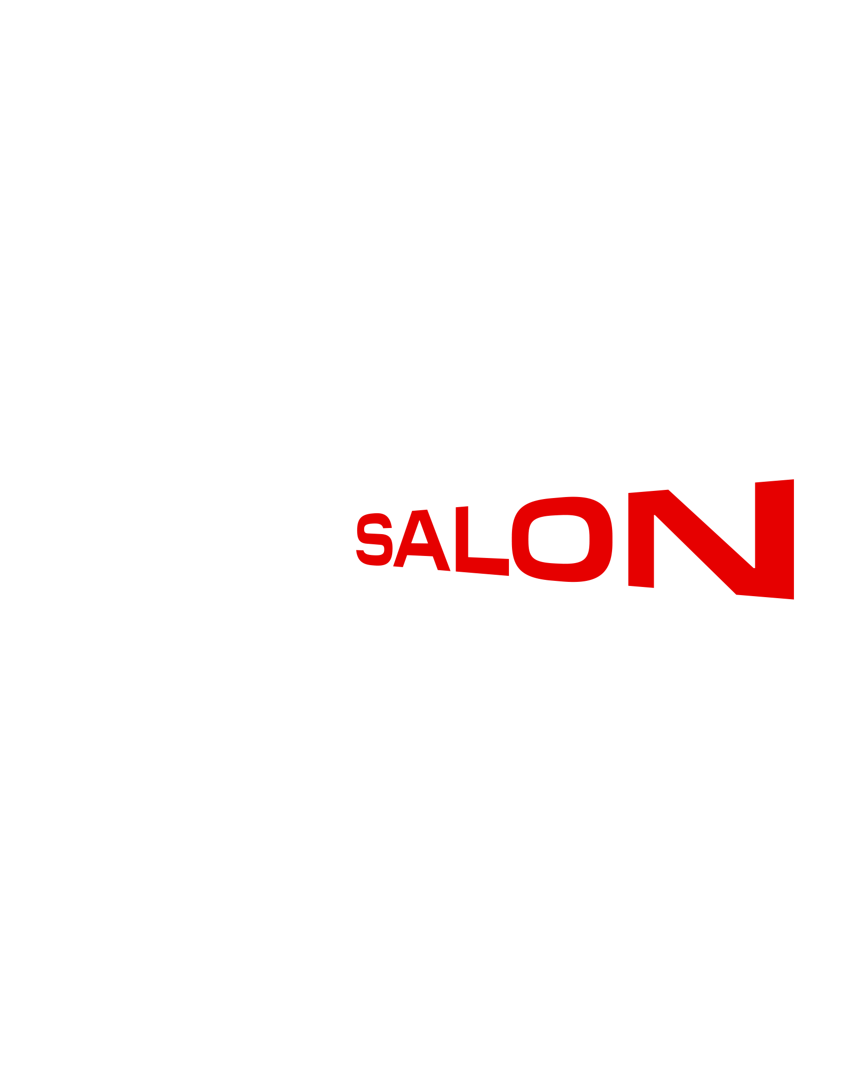 Raumsalon_logo_white